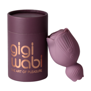 Inicio 5 GIGI WABI ROSA SUCCIÓN Y LENGUA